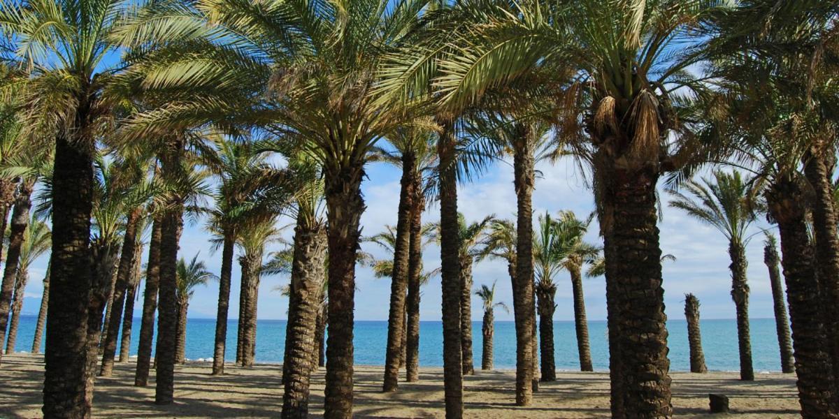 Apartamento Carole Playa Bajondillo Torremolinos Beach - Playa A 30 Segundos - Wifi - Parking - Terraza Apartment Ngoại thất bức ảnh